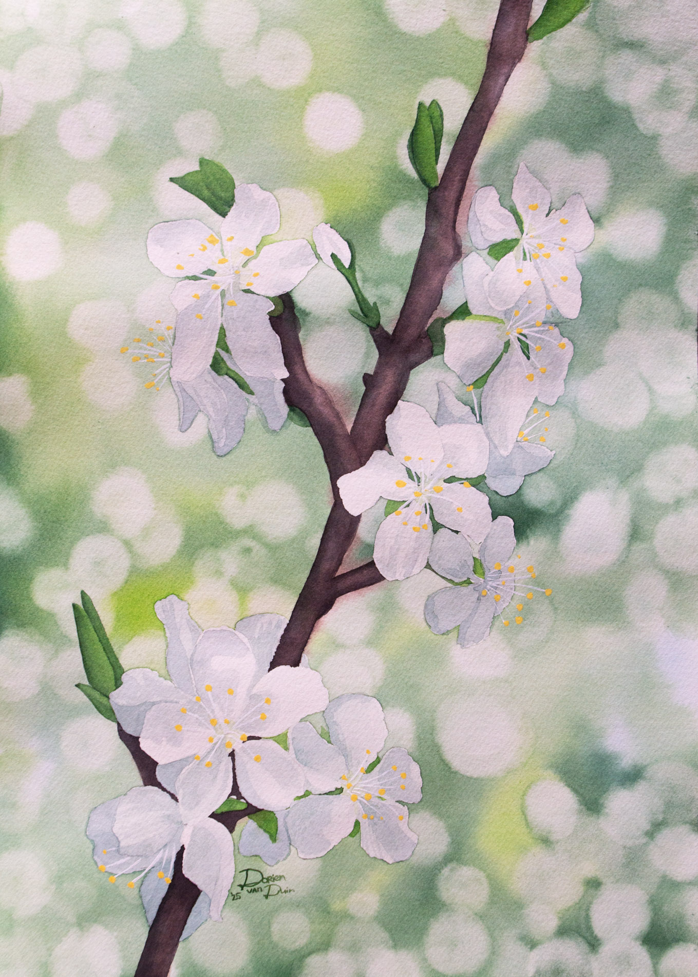 Dipinto di fiori di mele bianchi su uno sfondo verde con effetto bokeh