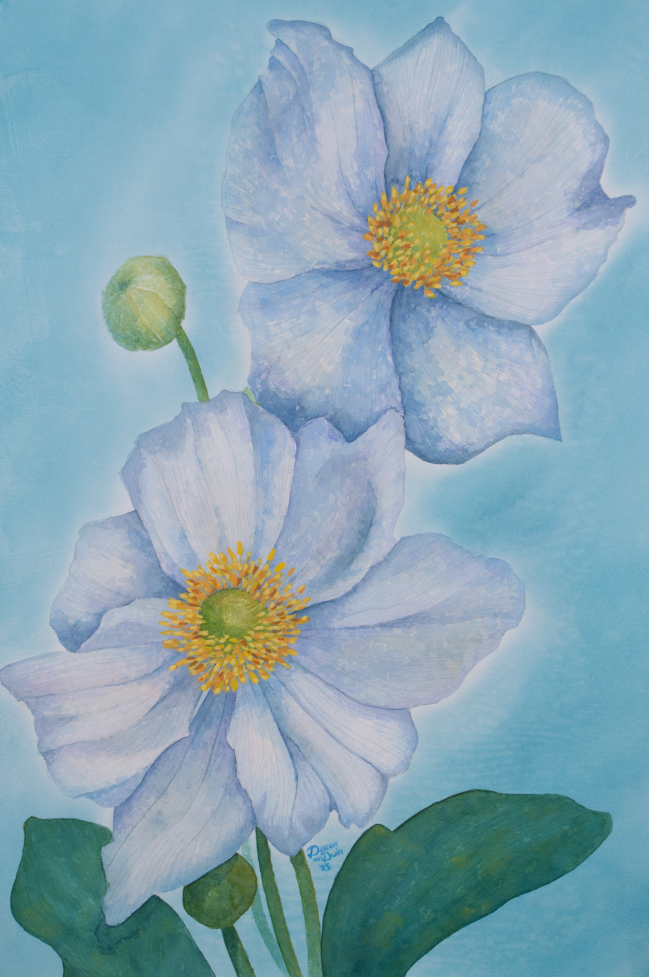 Anemoni bianchi in rilievo su sfondo blu tenue