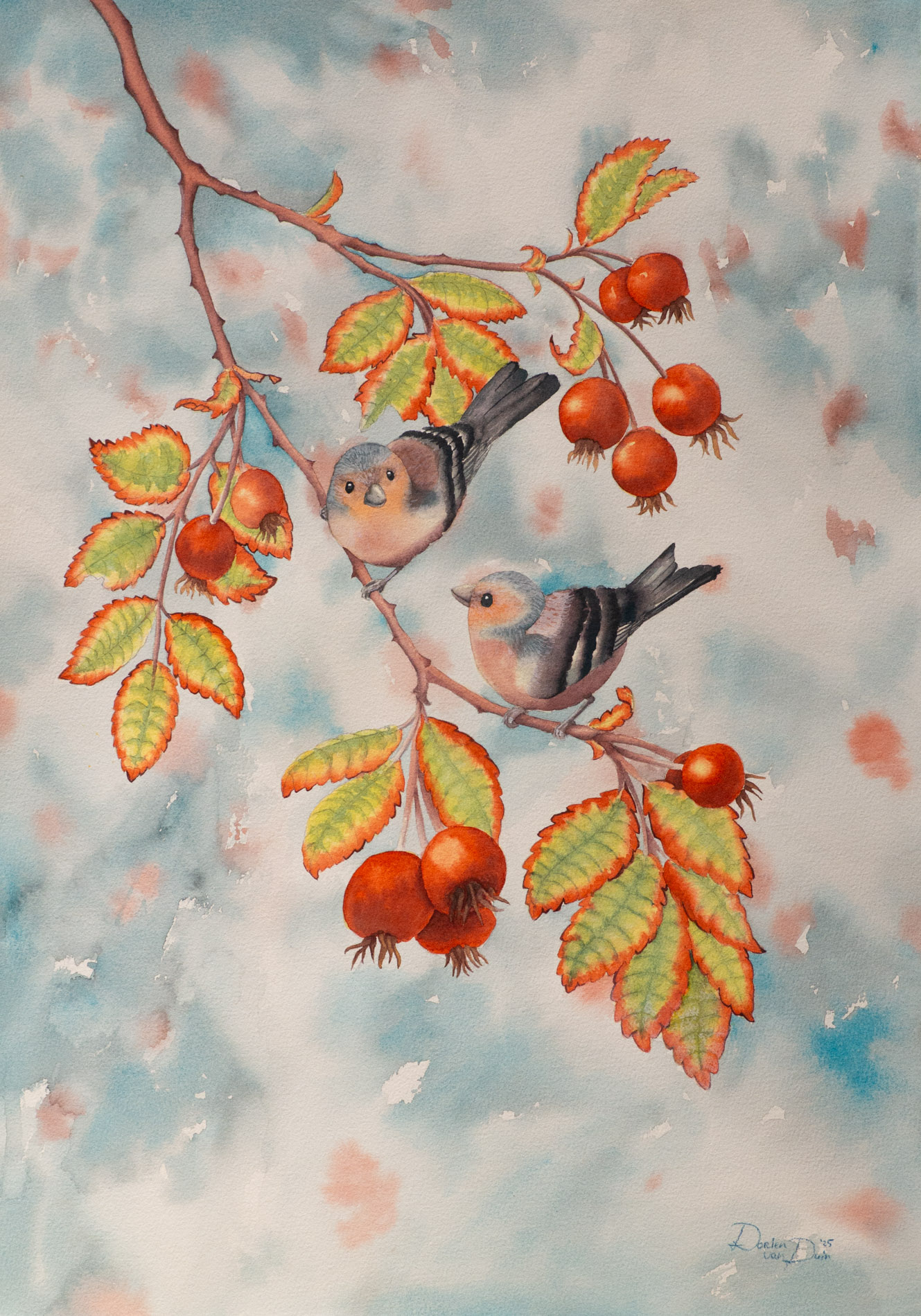 Two finches on a rosehip branch