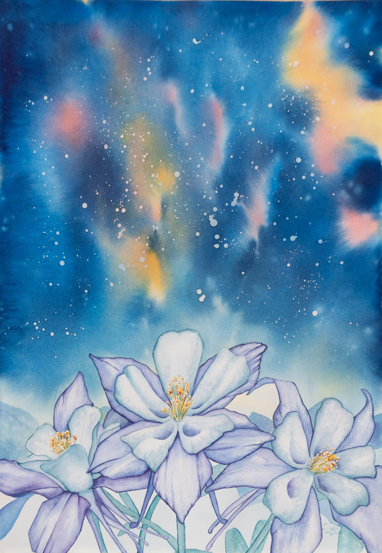 Columbine flowers under a starry night sky