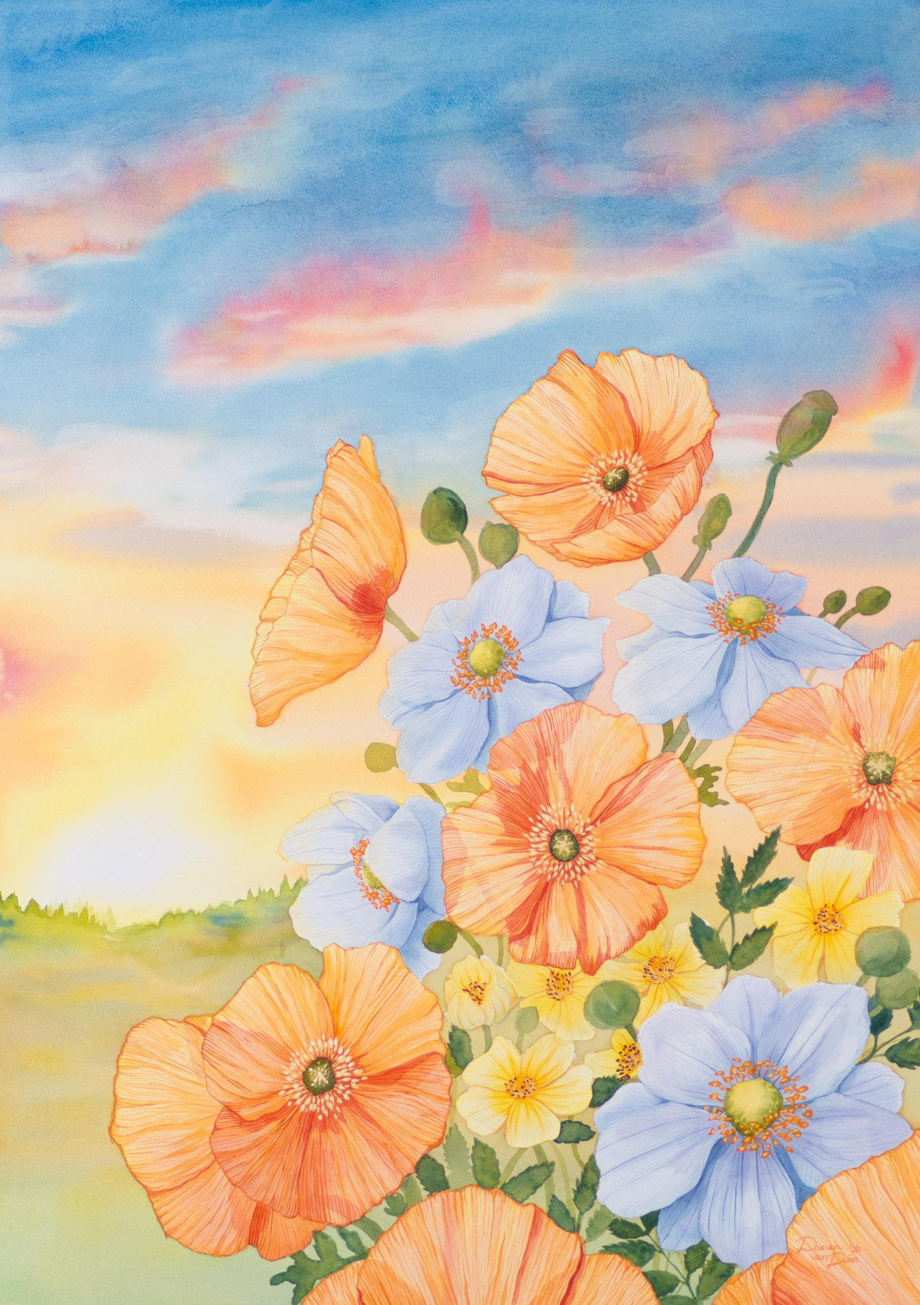Oranje klaprozen, gele rozen en witte anemonen in het ochtendgloren